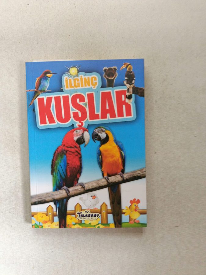 İlginç Kuşlar - İlginç Bilgiler Serisi